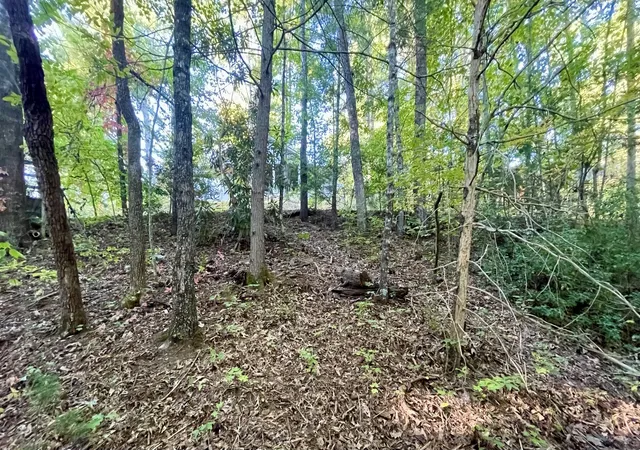 Photo 2 of Land for sale at 8 Berry Clark Dr, Gatlinburg, TN 37738 | MLS# 3612558 | Listing updated on 2026-10-07