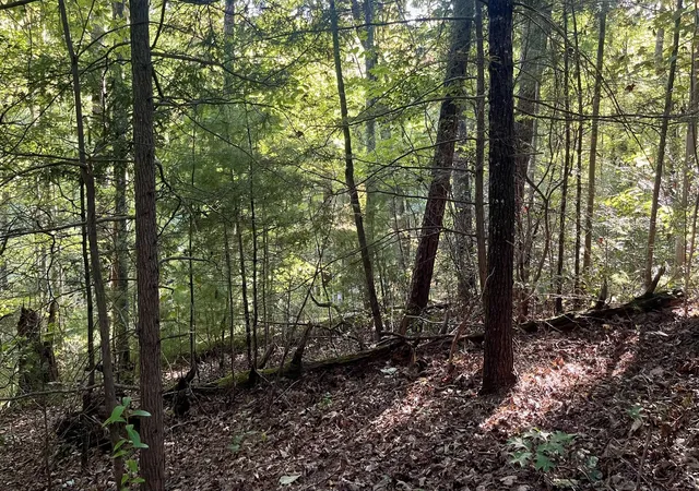 Photo 3 of Land for sale at 8 Berry Clark Dr, Gatlinburg, TN 37738 | MLS# 3612558 | Listing updated on 2026-10-07