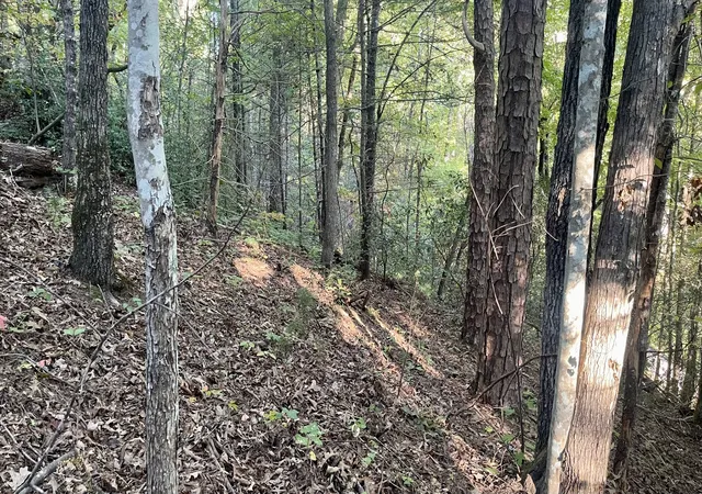 Photo 3 of Land for sale at 8 Berry Clark Dr, Gatlinburg, TN 37738 | MLS# 3612558 | Listing updated on 2026-10-07