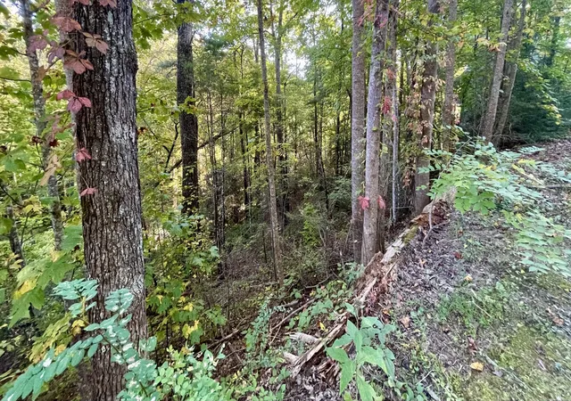 Photo 4 of Land for sale at 8 Berry Clark Dr, Gatlinburg, TN 37738 | MLS# 3612558 | Listing updated on 2026-10-07