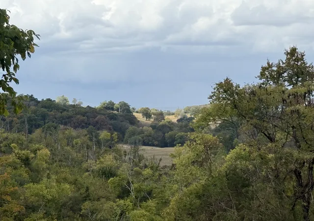 Photo 3 of Land for sale at 0 Old Hwy 99, Columbia, TN 38401 | MLS# 3612642 | Listing updated on 2026-10-07