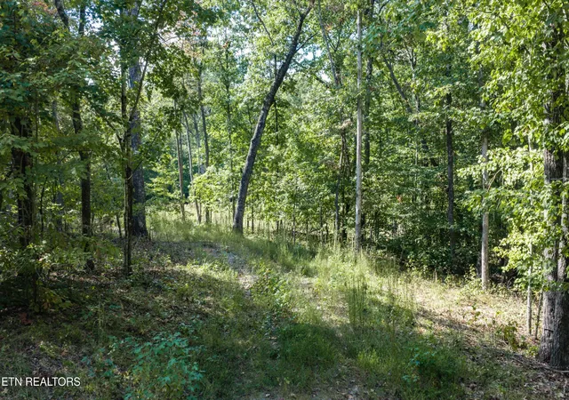 Photo 3 of Sale Pending at 1426 E Overlook Rd, Monterey, TN 38574 | MLS# 3612648 | Listing updated on 2026-10-09