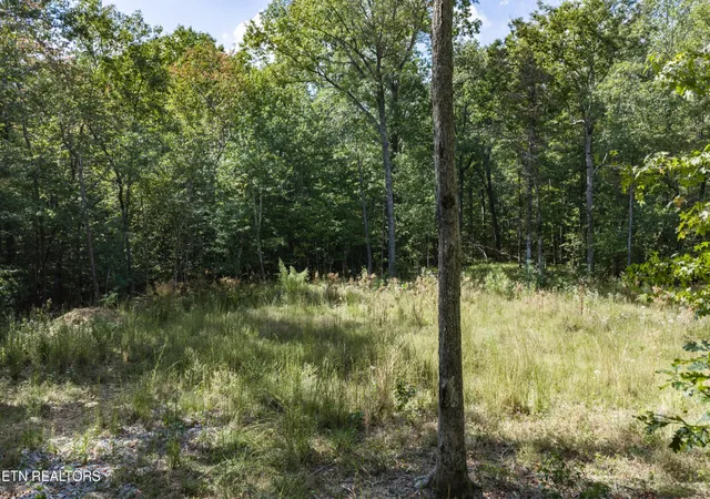 Photo 4 of Sale Pending at 1426 E Overlook Rd, Monterey, TN 38574 | MLS# 3612648 | Listing updated on 2026-10-09