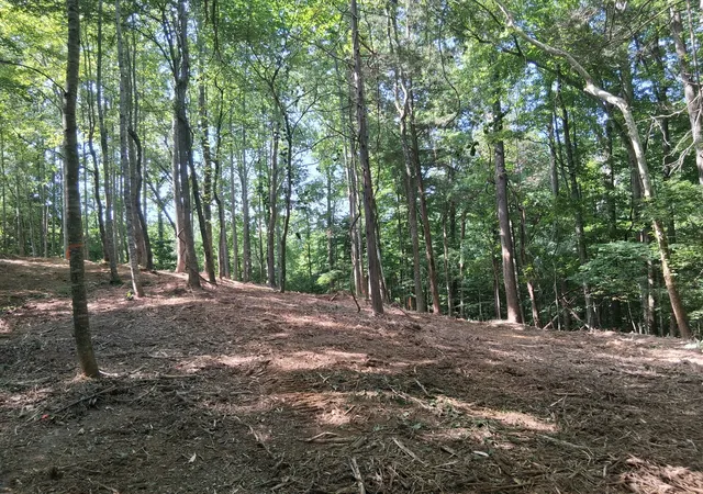 Photo 1 of Land for sale at 746 October Dr, Smithville, TN 37166 | MLS# 3619277 | Listing updated on 2026-10-24
