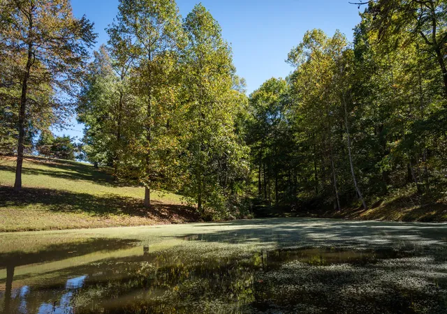 Photo 4 of Single family home for sale at 4325 Cave Springs Rd, Columbia, TN 38401 | MLS# 3622817 | Listing updated on 2026-10-27