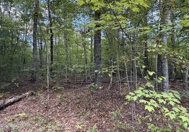 Photo 1 of Land for sale at 634 Horse Crk Rd, Jamestown, TN 38556 | MLS# 3612714 | Listing updated on 2026-10-07