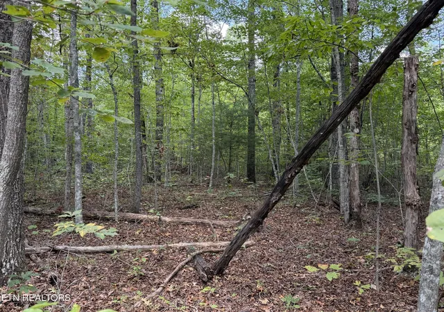 Photo 4 of Land for sale at 634 Horse Crk Rd, Jamestown, TN 38556 | MLS# 3612714 | Listing updated on 2026-10-07