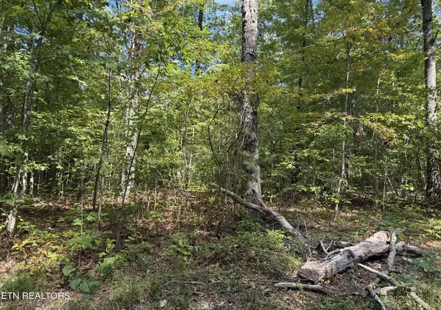 Photo 1 of Land for sale at 806 Horse Crk Rd, Jamestown, TN 38556 | MLS# 3612720 | Listing updated on 2026-10-07