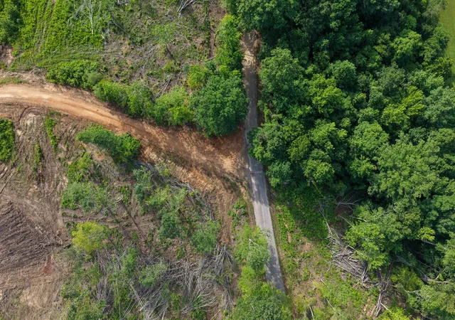 Photo 3 of Land for sale at 0 Upper Standing Rock Rd, Dover, TN 37058 | MLS# 3612735 | Listing updated on 2026-10-07