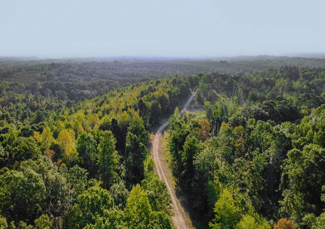 Land for sale at 0 Highway 232, Dover, TN 37058 | MLS# 3612807