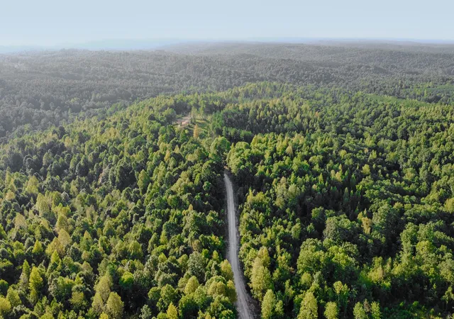 Photo 4 of Land for sale at 0 Highway 232, Dover, TN 37058 | MLS# 3612807 | Listing updated on 2026-10-07