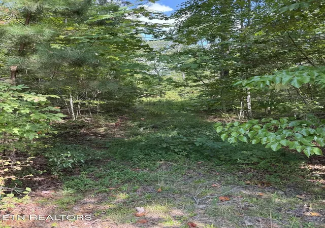 Photo 4 of Land for sale at 0 Cliffmont, Jamestown, TN 38556 | MLS# 3612788 | Listing updated on 2026-10-07