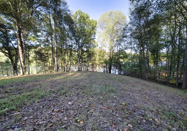 Photo 3 of Land for sale at 0 Nightingale Ln, Lynchburg, TN 37352 | MLS# 3615525 | Listing updated on 2026-10-09