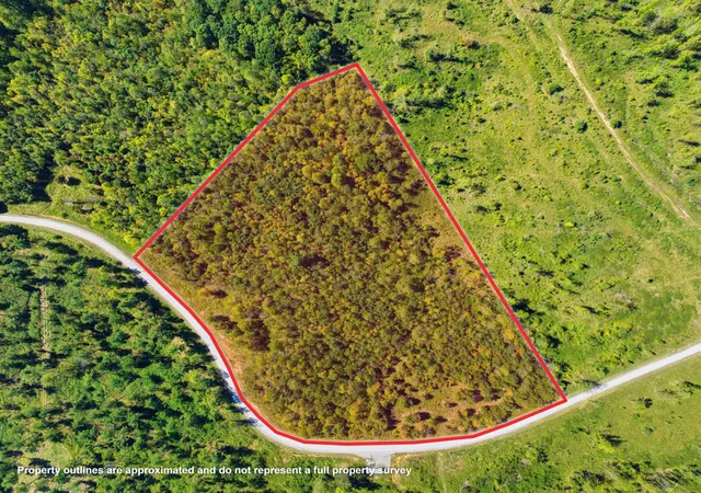 Photo 3 of Land for sale at 98 Saddleback Dr, Dover, TN 37058 | MLS# 3615342 | Listing updated on 2026-10-09