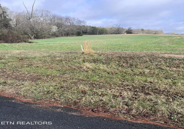 Photo 3 of Land for sale at 0 Mountain View Ln, White Pine, TN 37890 | MLS# 3613378 | Listing updated on 2026-10-08