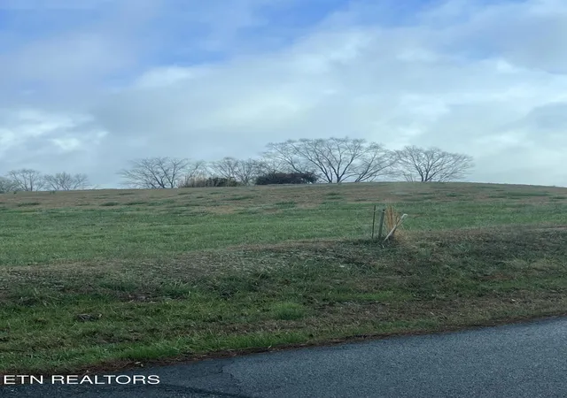 Photo 3 of Land for sale at 0 Mountain View Ln, White Pine, TN 37890 | MLS# 3613378 | Listing updated on 2026-10-08