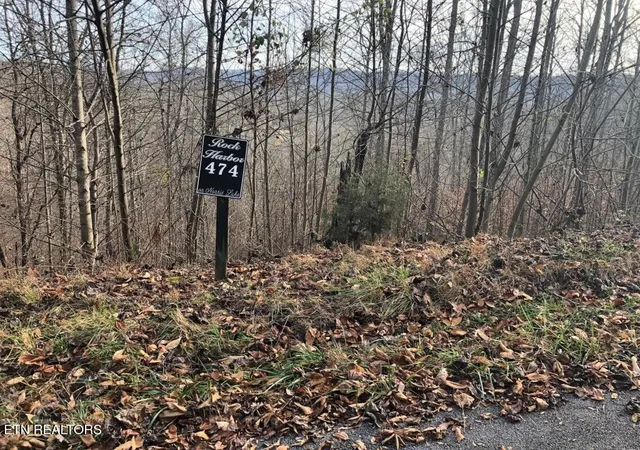 Land for sale at 0 Silver Tr, New Tazewell, TN 37825 | MLS# 3613367