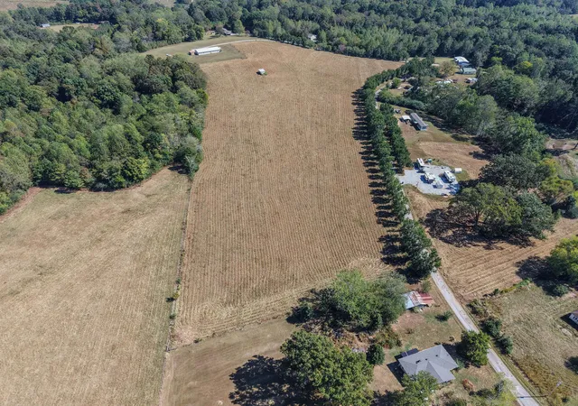 Photo 3 of Land for sale at 0 Shannon Rd, Leoma, TN 38468 | MLS# 3613136 | Listing updated on 2026-10-07