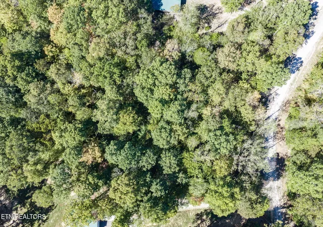 Photo 3 of Land for sale at 8 Buffalo Cvs Ln, Jamestown, TN 38556 | MLS# 3613214 | Listing updated on 2026-10-08