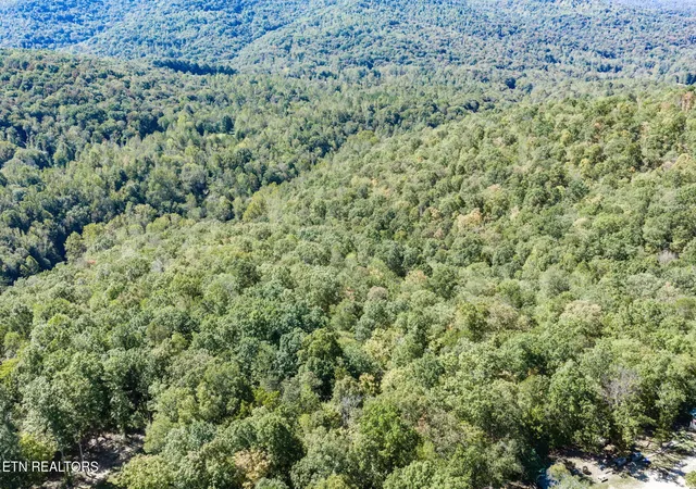 Photo 4 of Land for sale at 8 Buffalo Cvs Ln, Jamestown, TN 38556 | MLS# 3613214 | Listing updated on 2026-10-08
