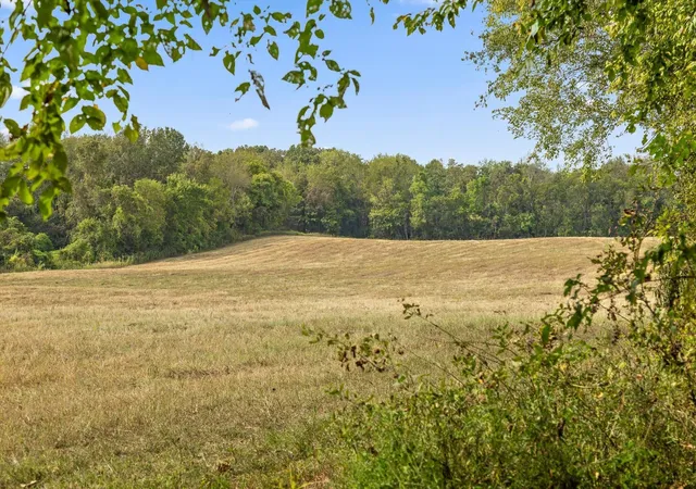 Photo 1 of Land for sale at 10 Sturgeon Crk Rd, Cedar Hill, TN 37032 | MLS# 3613255 | Listing updated on 2026-10-08