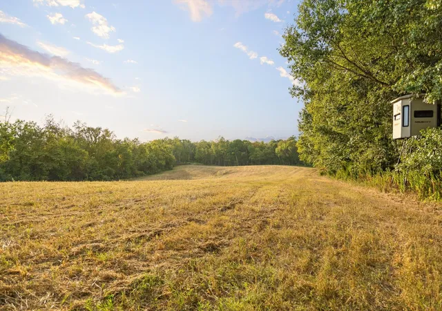 Photo 3 of Land for sale at 10 Sturgeon Crk Rd, Cedar Hill, TN 37032 | MLS# 3613255 | Listing updated on 2026-10-08