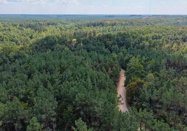 Photo 3 of Land for sale at 0 Coy Hl Rd, Savannah, TN 38372 | MLS# 3613289 | Listing updated on 2026-10-08