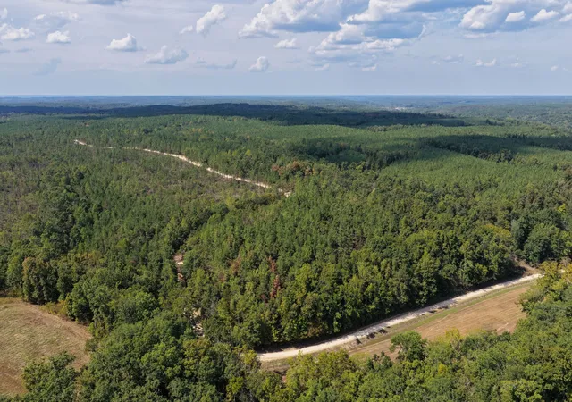 Photo 3 of Land for sale at 0 Coy Hl Rd, Savannah, TN 38372 | MLS# 3613289 | Listing updated on 2026-10-08