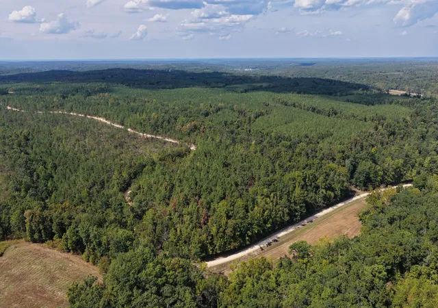 Photo 4 of Land for sale at 0 Coy Hl Rd, Savannah, TN 38372 | MLS# 3613289 | Listing updated on 2026-10-08