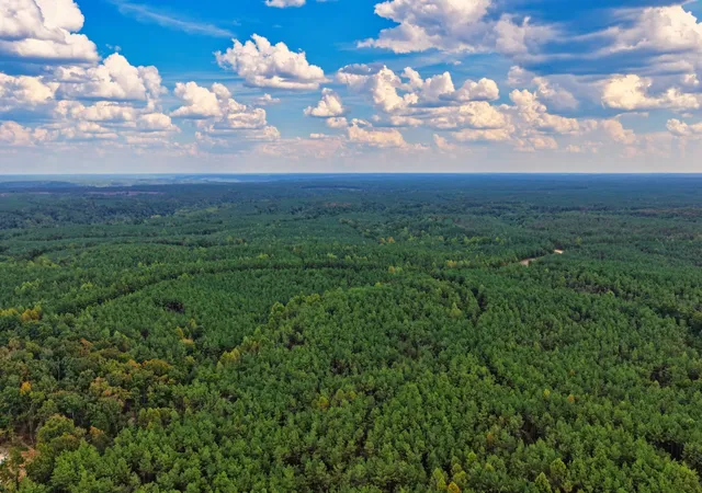 Photo 3 of Land for sale at 0 Lonesome Pine Rd, Savannah, TN 38372 | MLS# 3613293 | Listing updated on 2026-10-08
