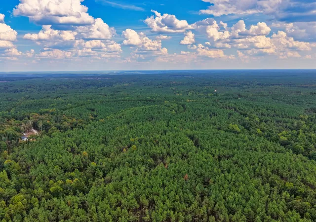 Photo 3 of Land for sale at 0 Lonesome Pine Rd, Savannah, TN 38372 | MLS# 3613293 | Listing updated on 2026-10-08
