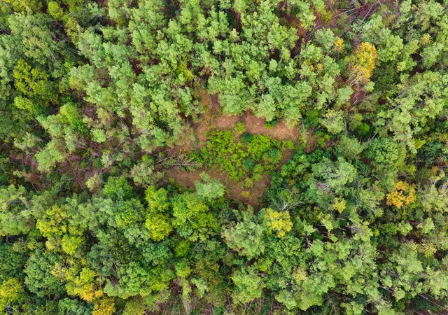 Photo 4 of Land for sale at 0 Lonesome Pine Rd, Savannah, TN 38372 | MLS# 3613293 | Listing updated on 2026-10-08