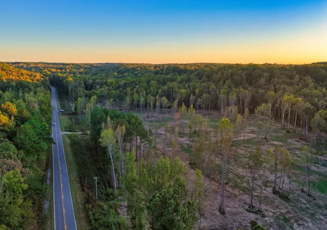 Land for sale at 0 Birdsong Rd, Holladay, TN 38341 | MLS# 3613303