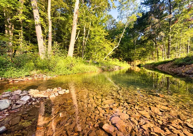 Photo 2 of Land for sale at 0 Birdsong Rd, Holladay, TN 38341 | MLS# 3613303 | Listing updated on 2026-10-08
