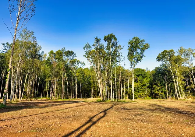 Photo 3 of Land for sale at 0 Birdsong Rd, Holladay, TN 38341 | MLS# 3613303 | Listing updated on 2026-10-08