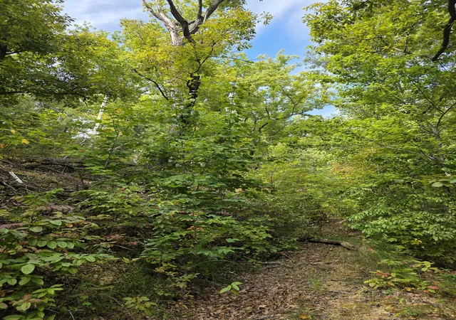 Photo 2 of Land for sale at 0 Pine Mountain Rd, Pigeon Forge, TN 37863 | MLS# 3619496 | Listing updated on 2026-10-12