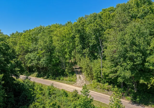 Photo 1 of Land for sale at 0 Mayberry Prong Rd, Linden, TN 37096 | MLS# 3614423 | Listing updated on 2026-10-08