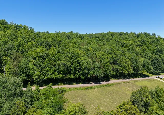 Photo 3 of Land for sale at 0 Mayberry Prong Rd, Linden, TN 37096 | MLS# 3614423 | Listing updated on 2026-10-08