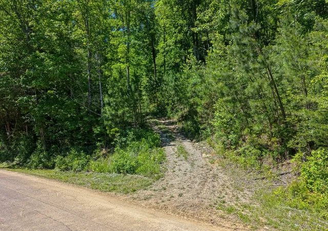 Photo 3 of Land for sale at 0 Mayberry Prong Rd, Linden, TN 37096 | MLS# 3614423 | Listing updated on 2026-10-08