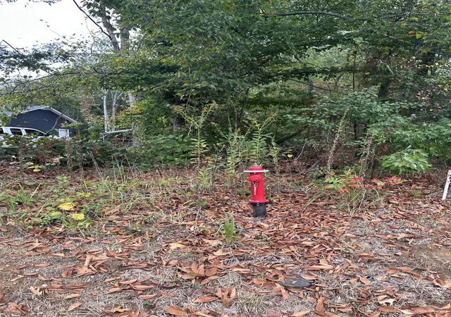 Photo 4 of Land for sale at 0 Timber Ln, Mc Minnville, TN 37110 | MLS# 3614447 | Listing updated on 2026-10-08