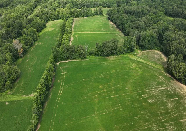 Photo 4 of Sale Pending at 9601 Old Mayfield Rd, Boaz, KY 42027 | MLS# 3614416 | Listing updated on 2026-10-12
