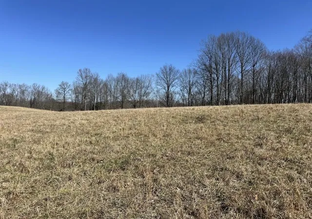Photo 2 of Land for sale at 0 Hallie Fox Ln, Lafayette, TN 37083 | MLS# 3614460 | Listing updated on 2026-10-08