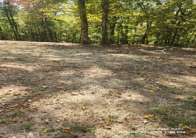Photo 2 of Land for sale at 320 Hilltop Ln, Gainesboro, TN 38562 | MLS# 3615091 | Listing updated on 2026-10-08
