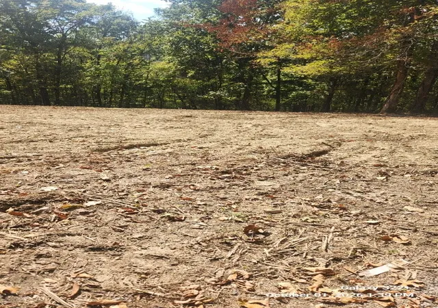 Photo 3 of Land for sale at 320 Hilltop Ln, Gainesboro, TN 38562 | MLS# 3615091 | Listing updated on 2026-10-08