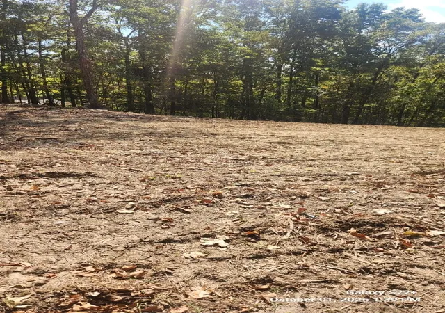 Photo 4 of Land for sale at 320 Hilltop Ln, Gainesboro, TN 38562 | MLS# 3615091 | Listing updated on 2026-10-08