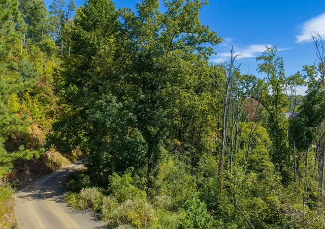Photo 3 of Land for sale at 44 Spurling Rd, Sevierville, TN 37862 | MLS# 3614497 | Listing updated on 2026-10-08