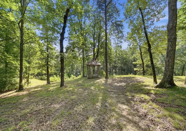 Photo 4 of Land for sale at 0 Big Blf View, Pikeville, TN 37367 | MLS# 3614501 | Listing updated on 2026-10-08