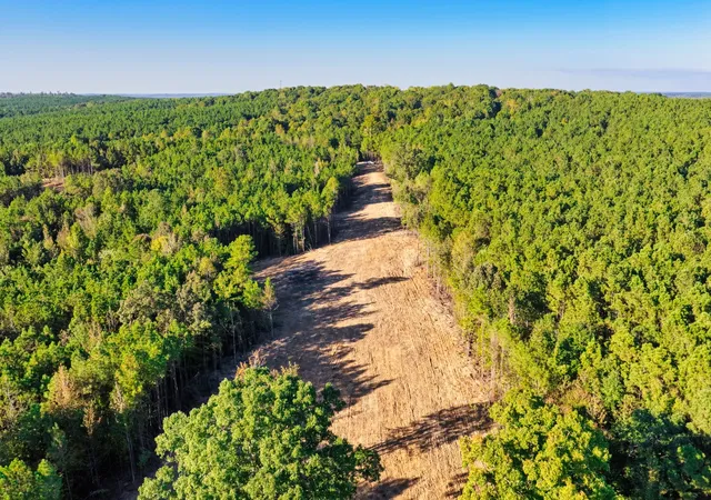 Photo 1 of Land for sale at 0 Williams Grv Rd, Camden, TN 38320 | MLS# 3614631 | Listing updated on 2026-10-08