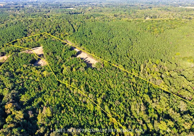 Photo 3 of Land for sale at 0 Williams Grv Rd, Camden, TN 38320 | MLS# 3614631 | Listing updated on 2026-10-08