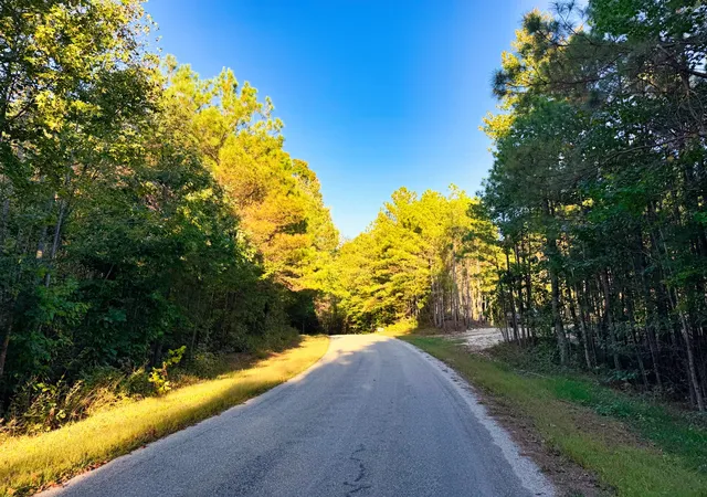 Photo 3 of Land for sale at 0 Williams Grv Rd, Camden, TN 38320 | MLS# 3614631 | Listing updated on 2026-10-08